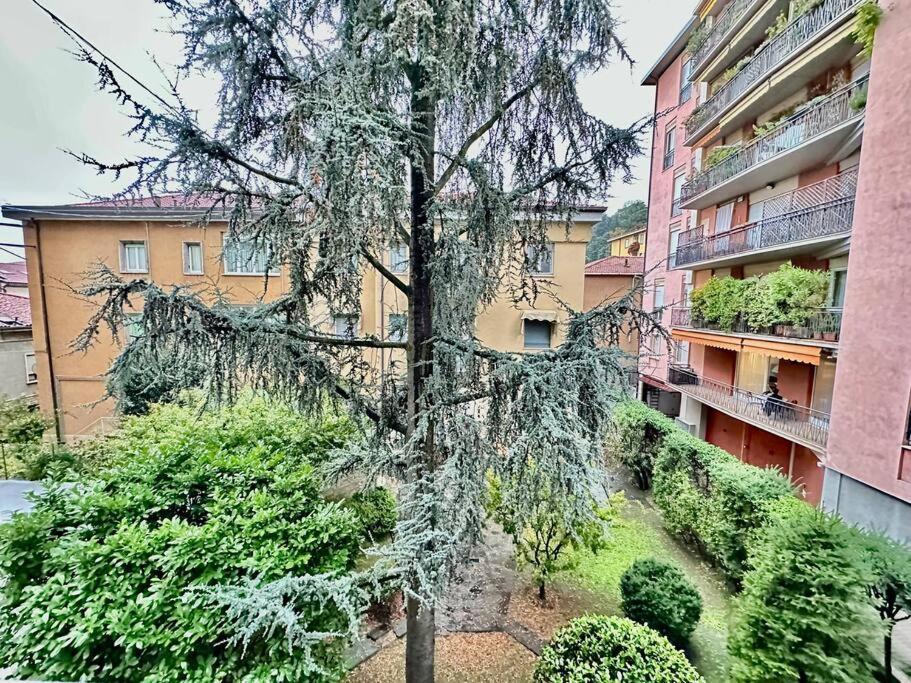 Luxury House Near The Funicular Apartment Bergamo Exterior photo